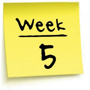 Week 5 Term 3